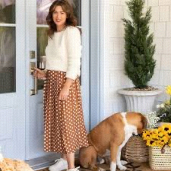 NEW Jillian Harris Brown Blogger’s Fav. Polka Dot Pleated Midi Skirt Plus Sz 2X - Picture 1 of 9